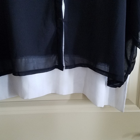 Standout seethrough blouse - Picture 4 of 6